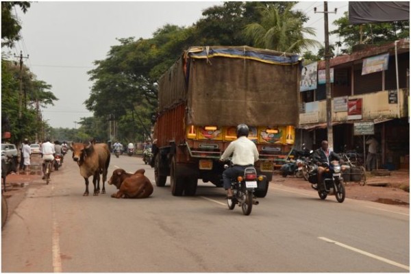 Auto-rickshaw-collided-with-bull-3