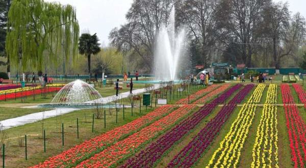 Tulip Garden, Srinagar