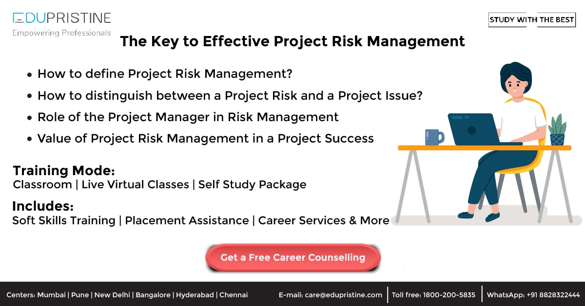 Project Manager's Perspective
