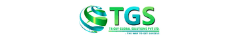 Tricky Global Solutions Logo