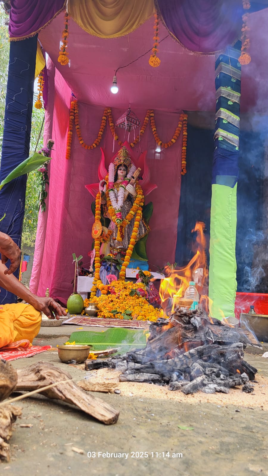 pujo