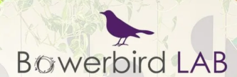 Bowerbird Lab LLP Logo
