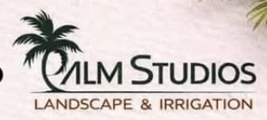 Palm Studios Logo