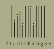 Studio Enligne Logo