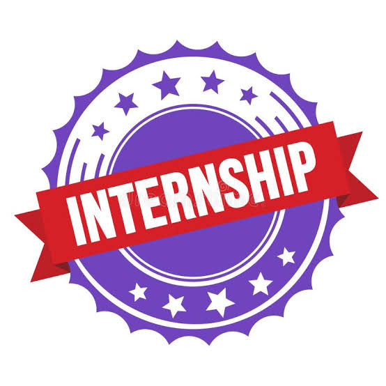 Internship Company Icon
