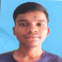 SOKOL MARANDI Image