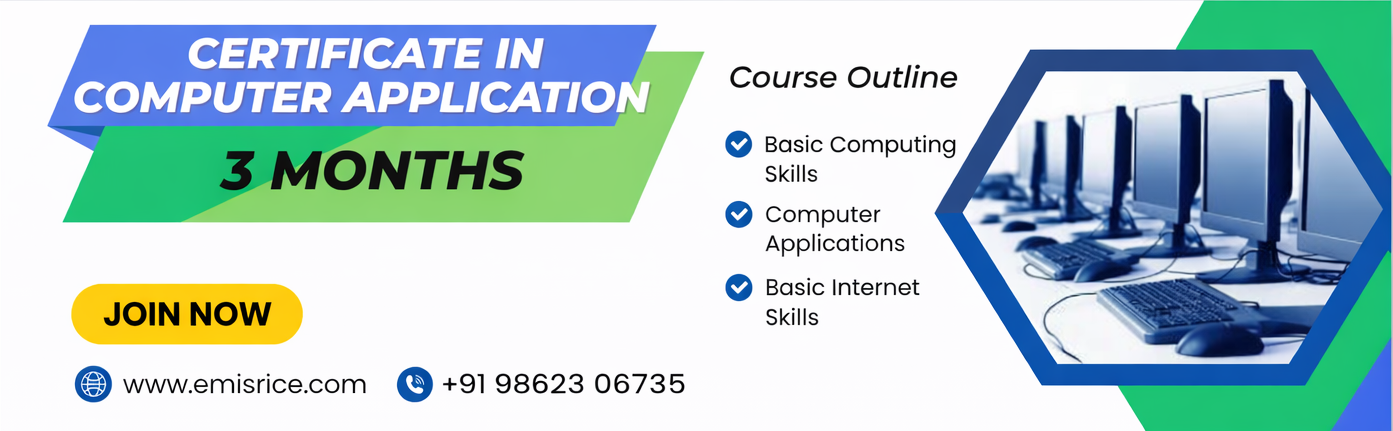 Certificate in Computer Application