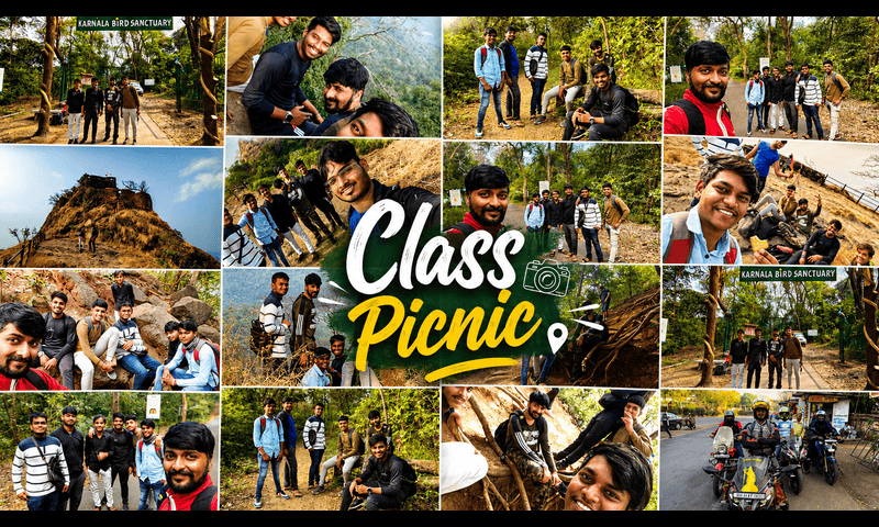 Class Picnic