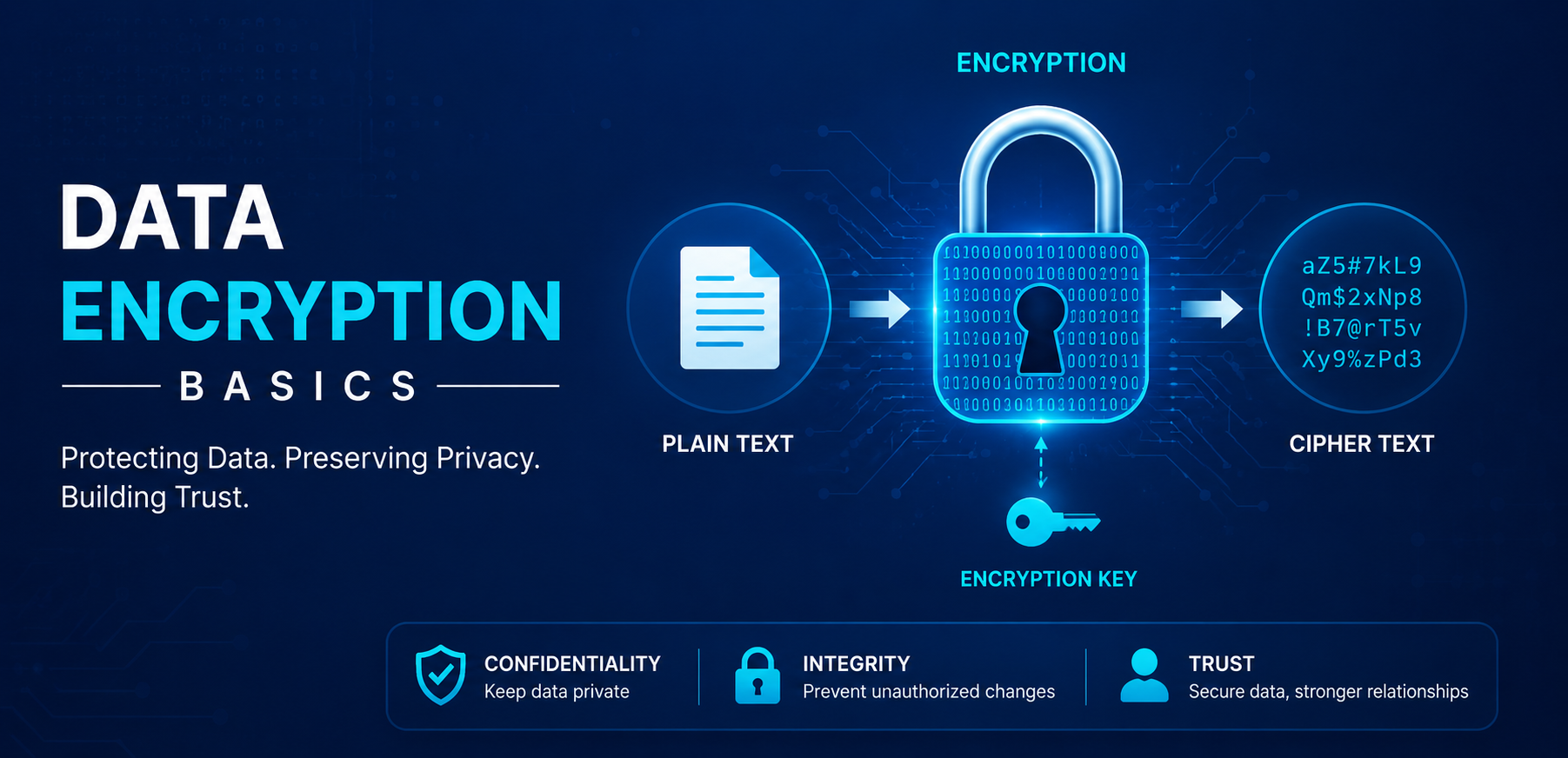 Data Encryption Basics for Beginners: Secure Data in the Digital Age