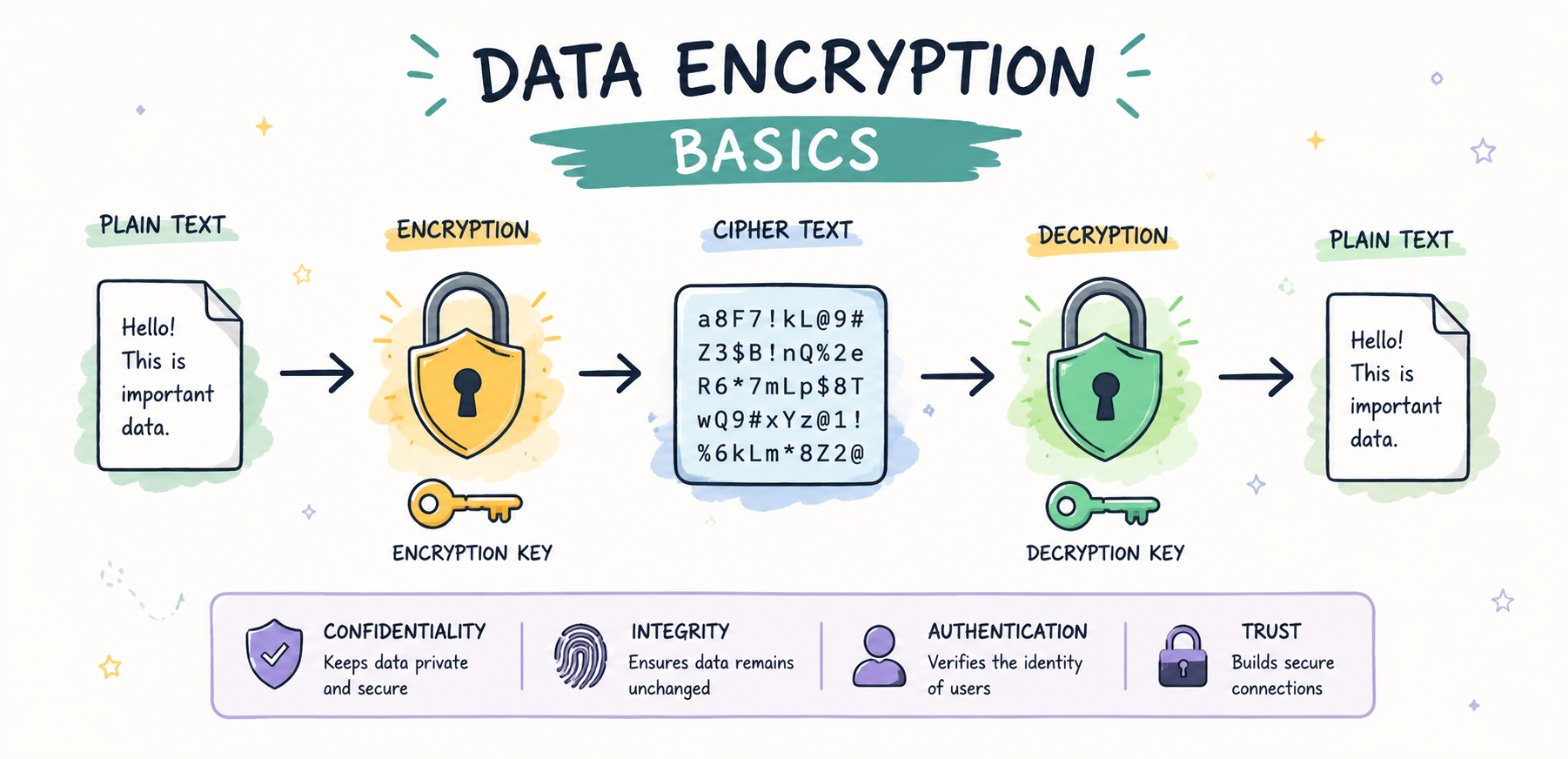 Data Encryption Basics for Beginners: Secure Data in the Digital Age