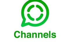 Official WhatsApp Channel