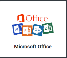 MS OFFICE