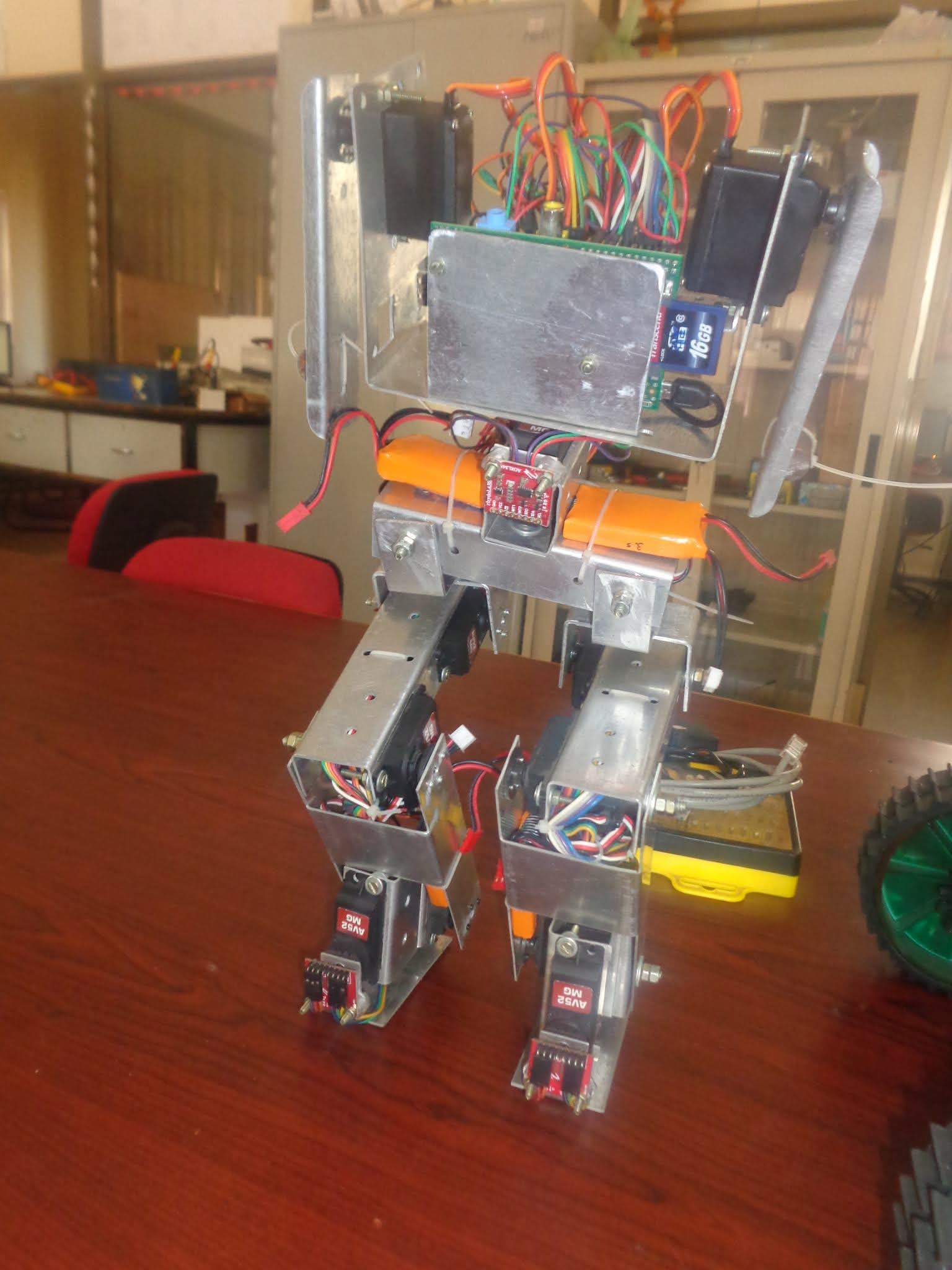 IIITM ROBOTICS