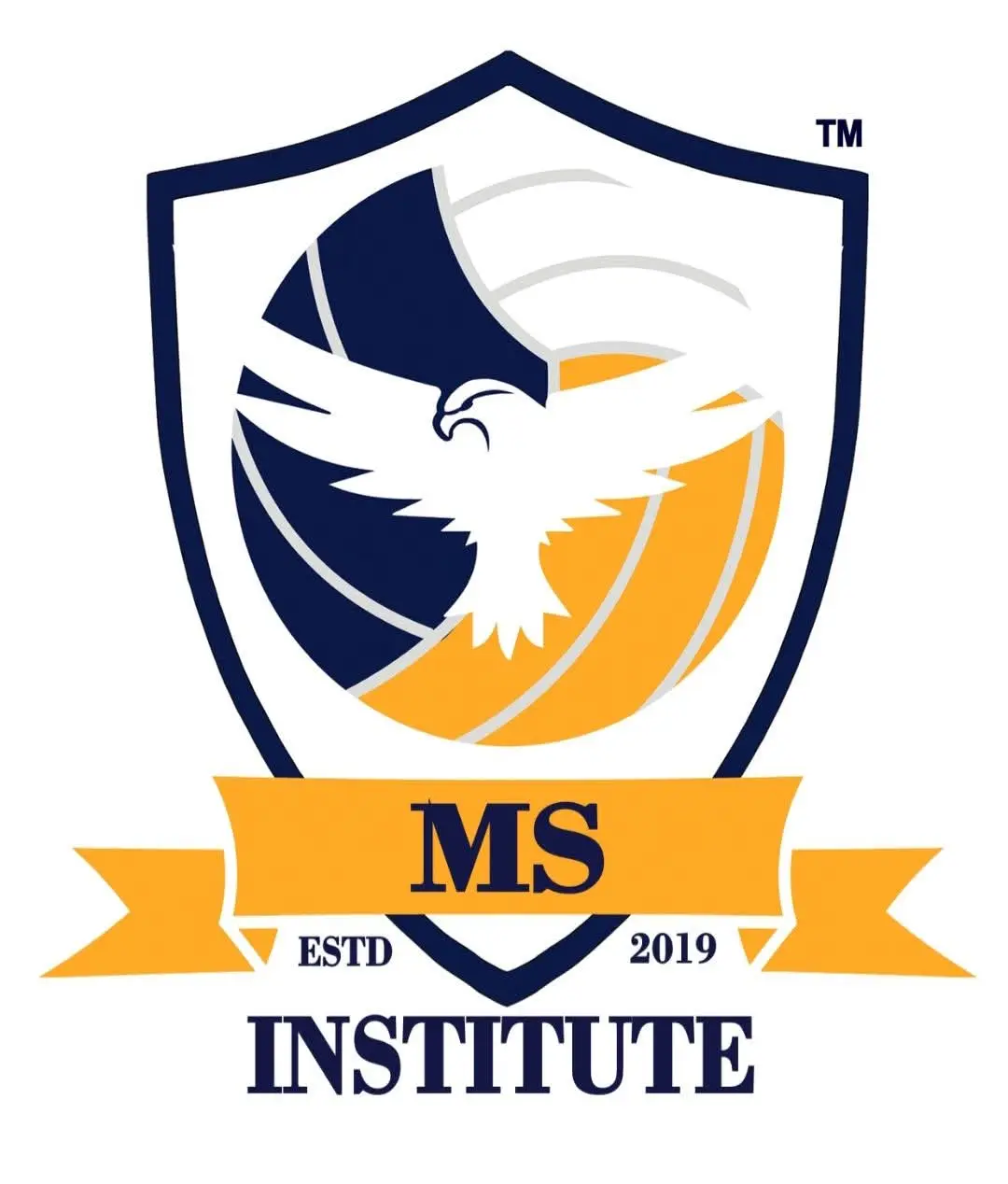MS INSTITUTE FOR SKILL DEVELOPMENT
