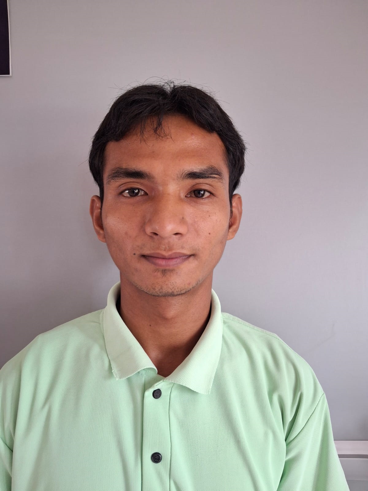 chow Wichita Manchey Image