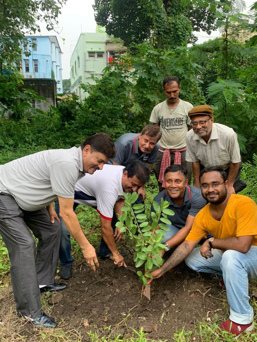Tree Plantation Drives Image