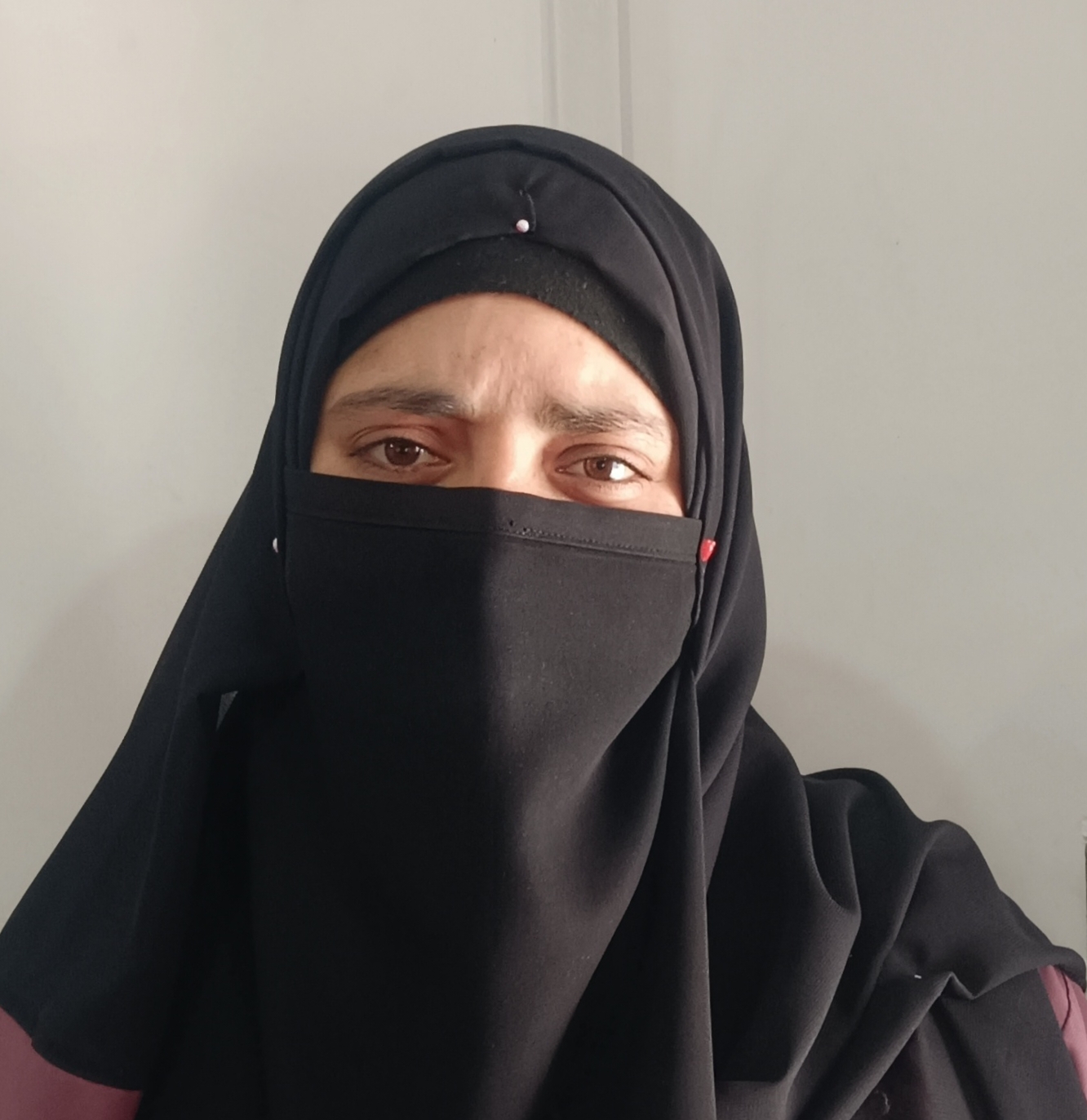 Zeenat Hussain Image