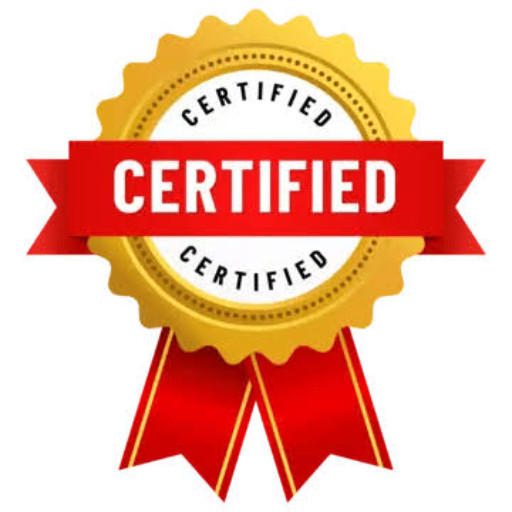 500+ Certificates Issued Awarded certificates to students after successful completion of various computer courses. Icon