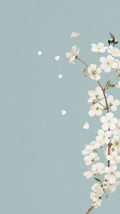 FAQ Banner 1