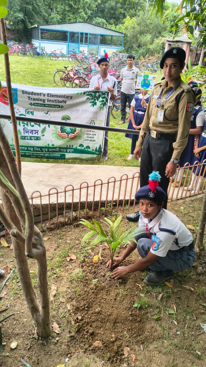 World environmental day celebration