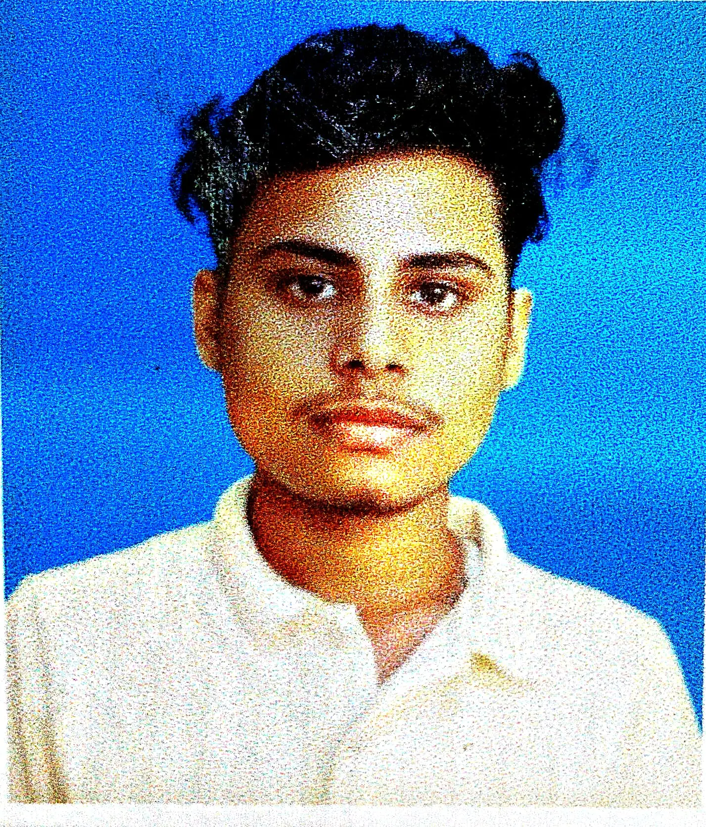 NIMAI MAJUMDAR