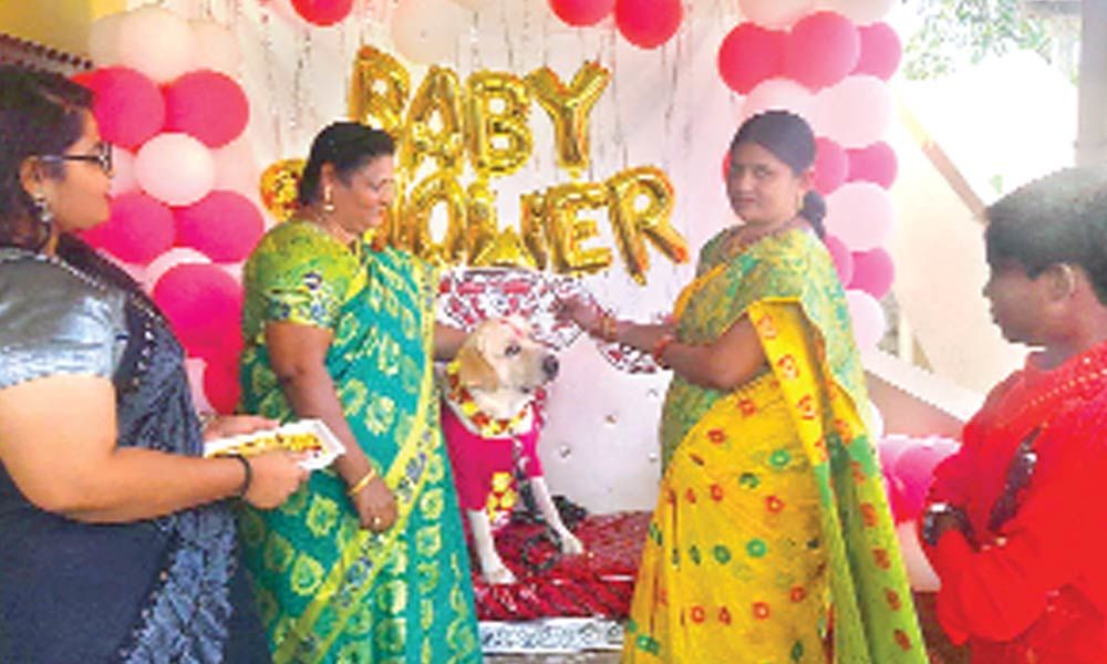 A woman blessing the dog during its baby shower at Sathupalli in Bhadradri-Kothagudem district on Wednesday