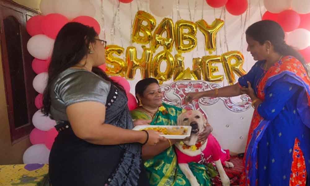 Telangana: Khammam couple holds Baby Shower for pet dog