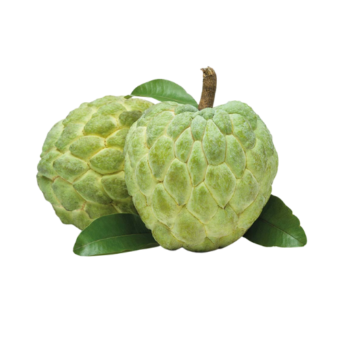 Custard Apple