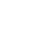 Conversational Agent