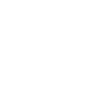 Flexible Incentive Program