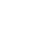 Partner council for strategy, roadmap and escalation