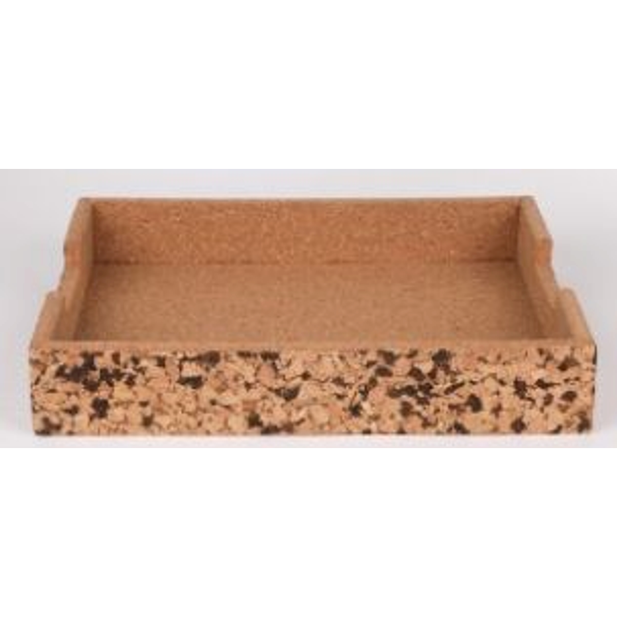 Organizer Tray