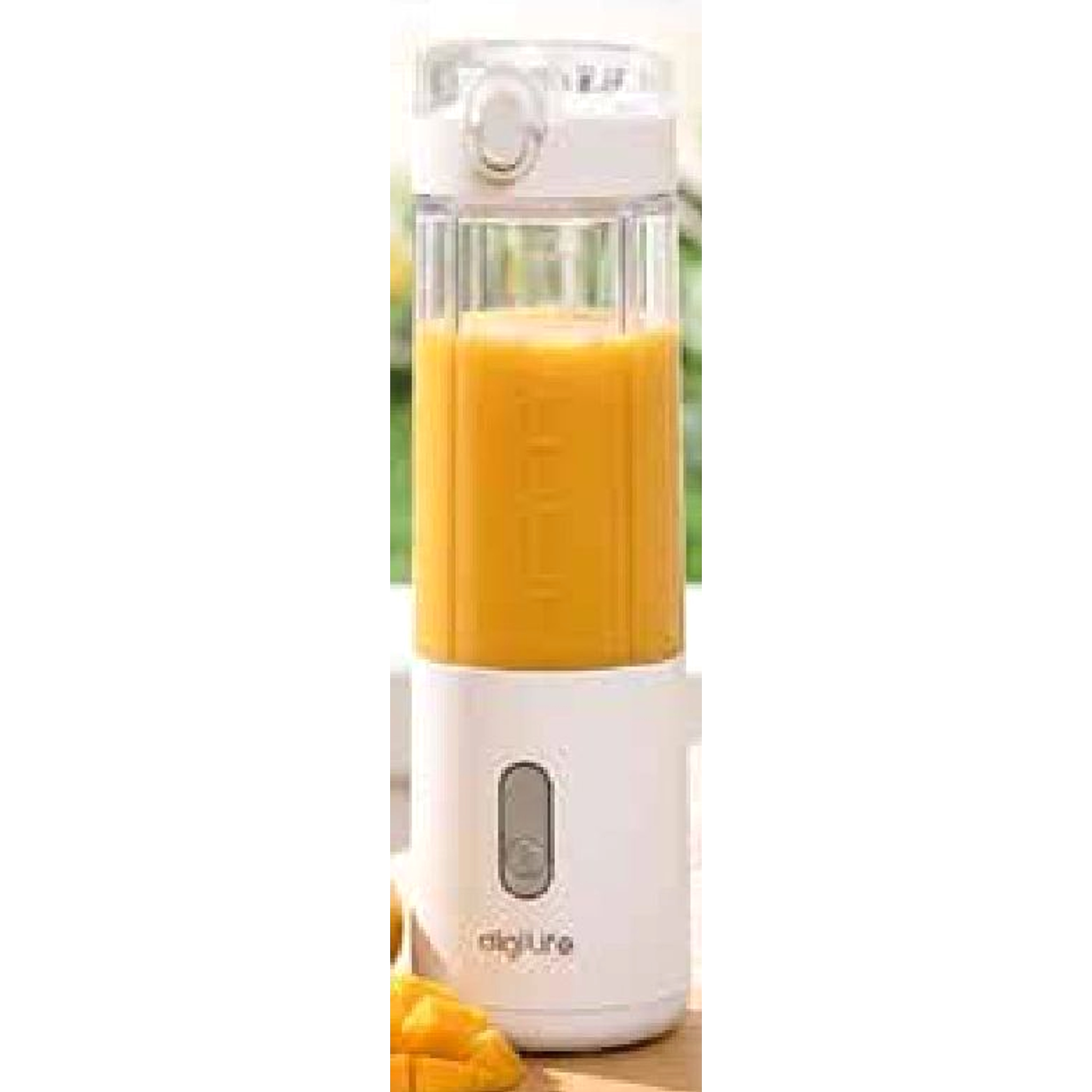 BLEND-IT Portable Blender