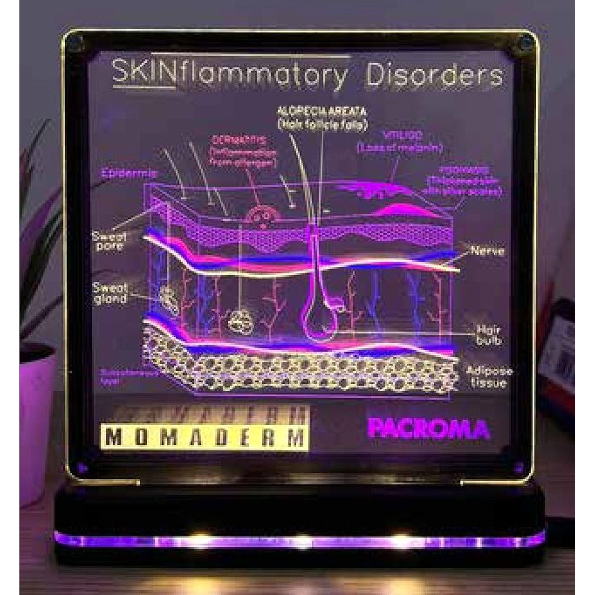 Multi Screen GIF Lamp