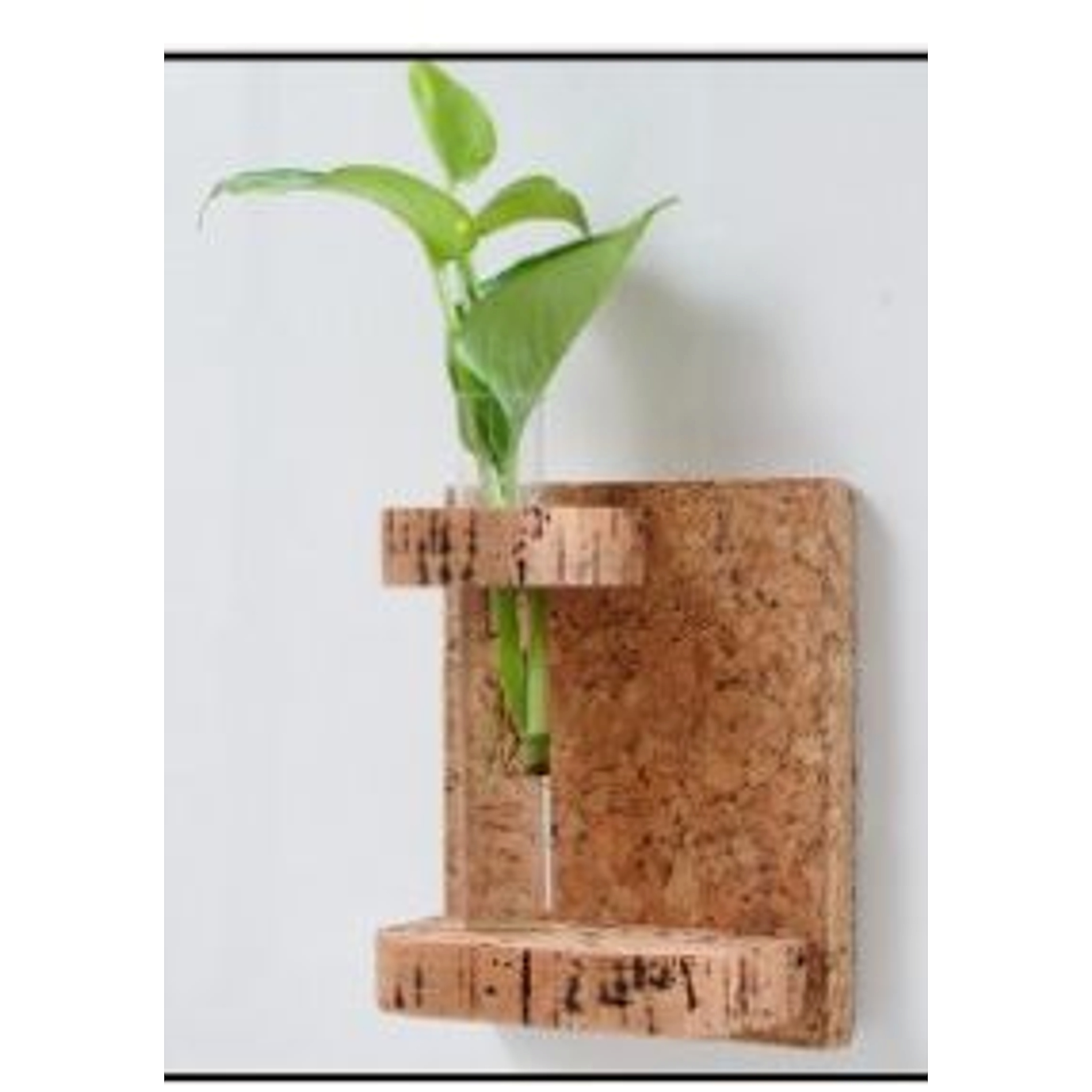 Wall Mounted Test Tube Planter