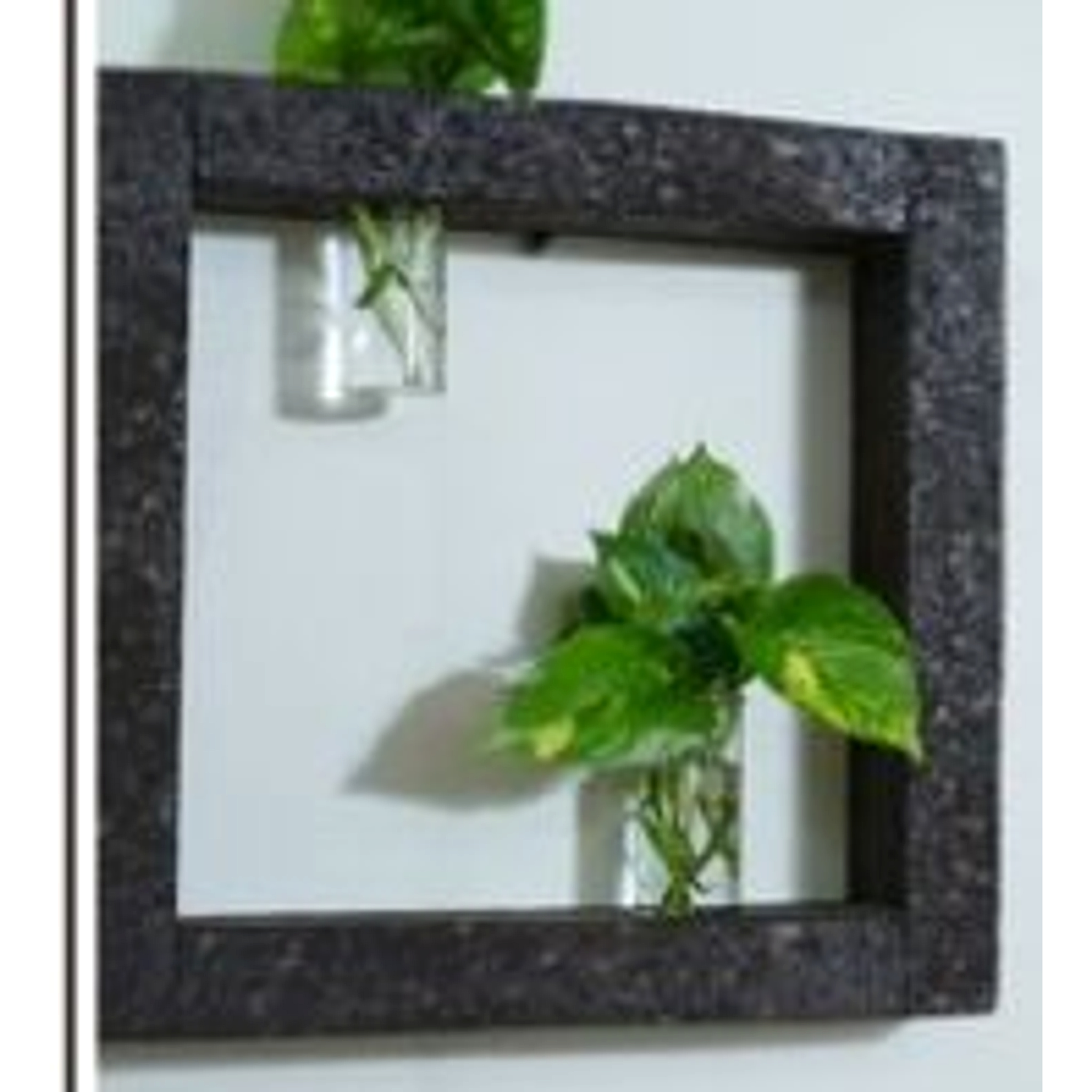 Wall Frame Test Tube Planter