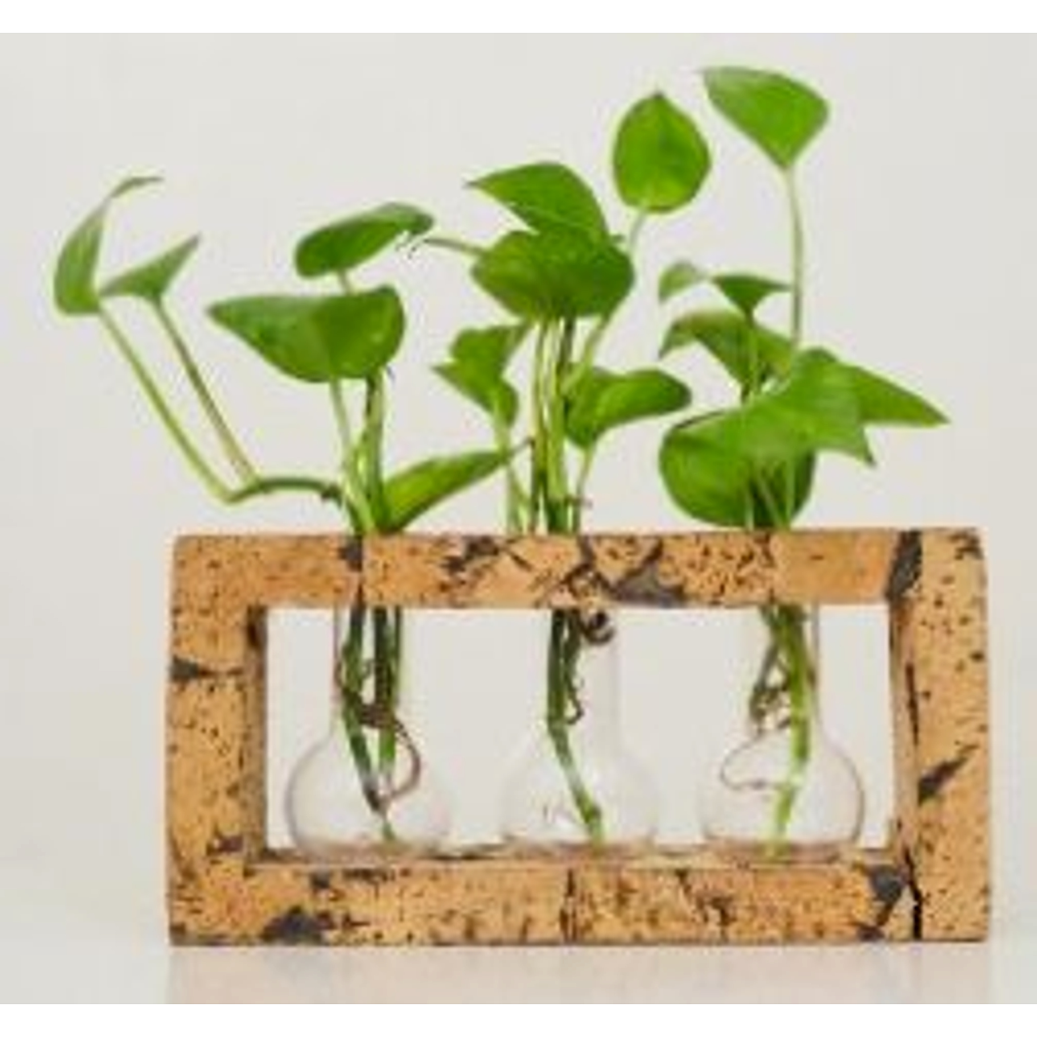 Round Flask Test Tube Planter