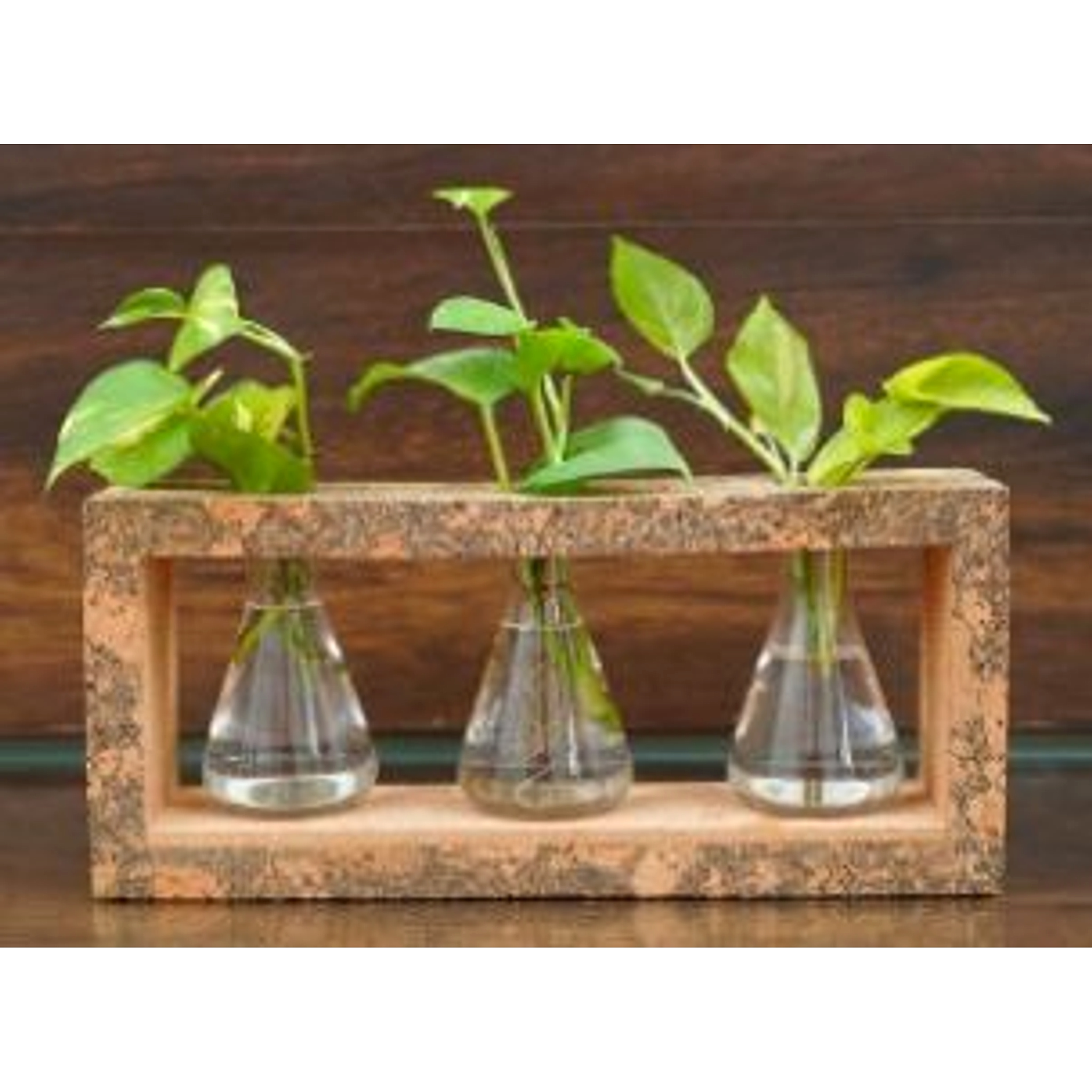 3 Beaker Planter