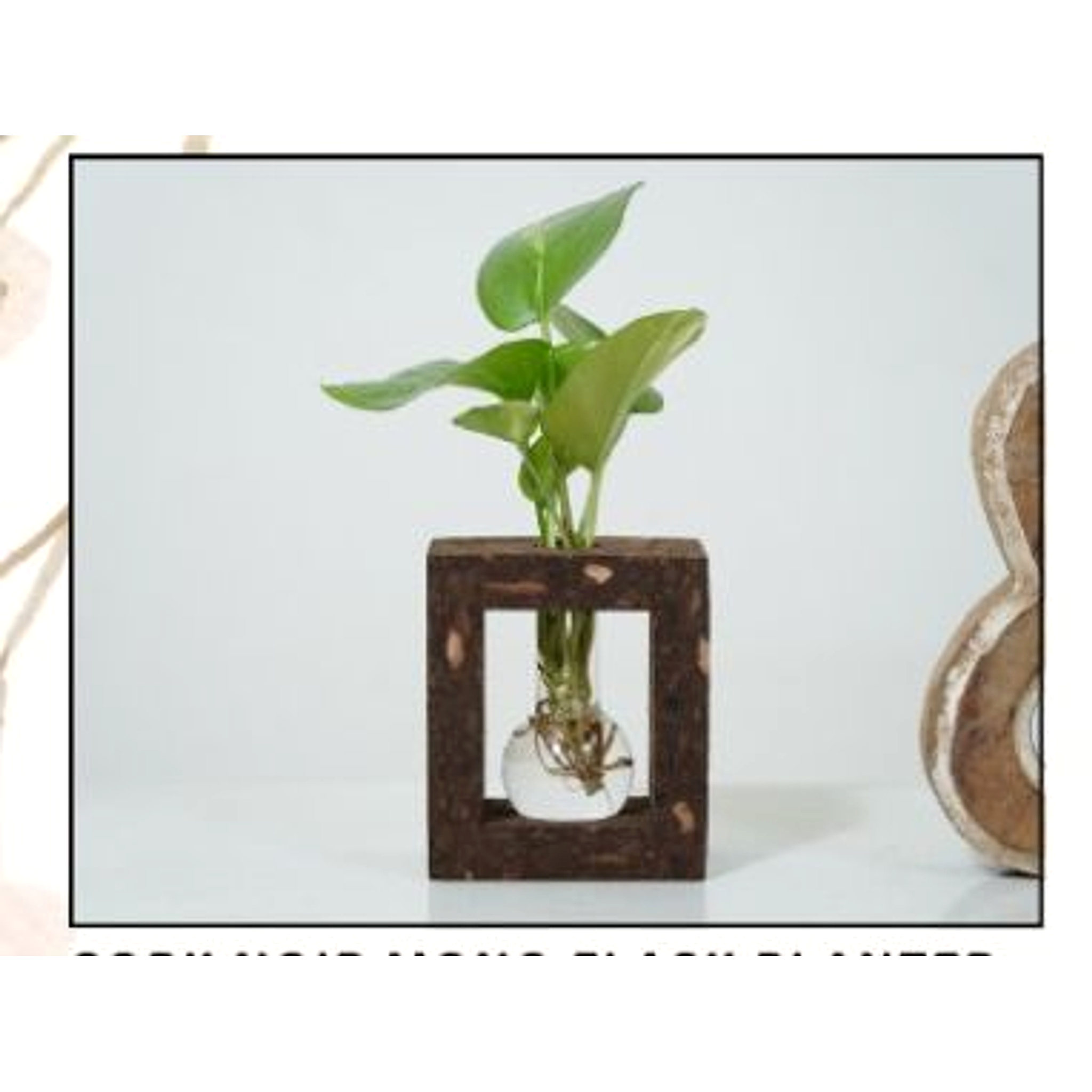 Cork Noir Mono Flask Planter