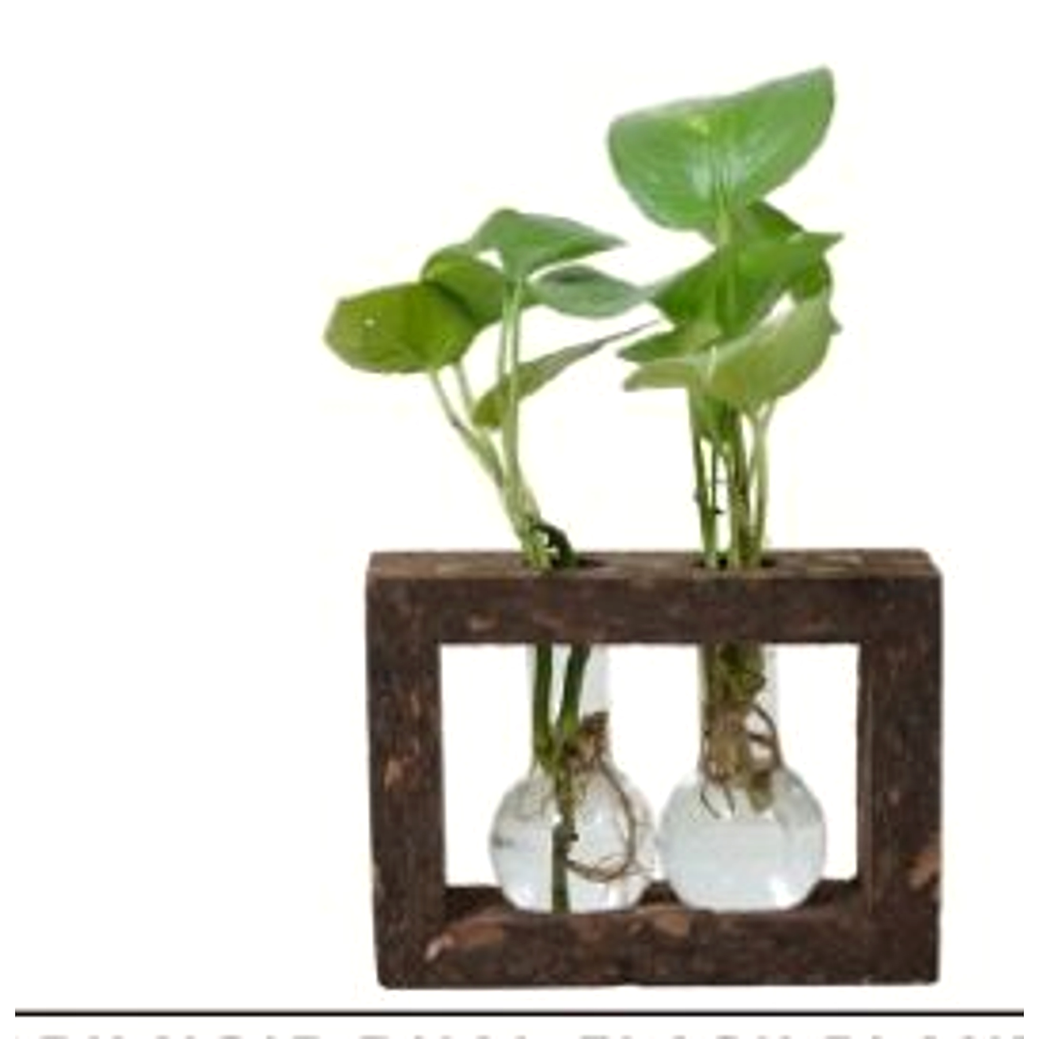 Cork Noir Dual Flask Planter