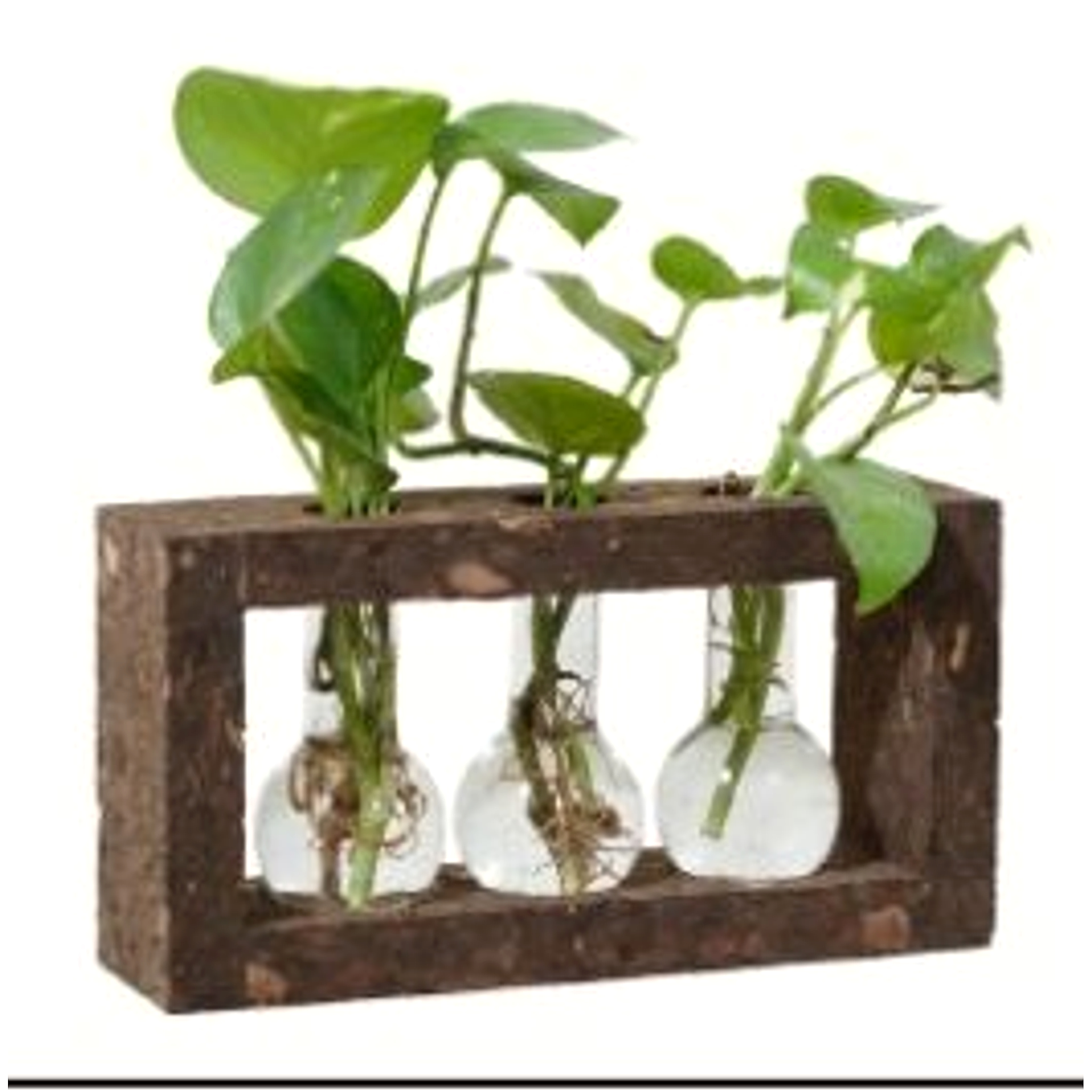 Cork Noir Tri Flask Planter