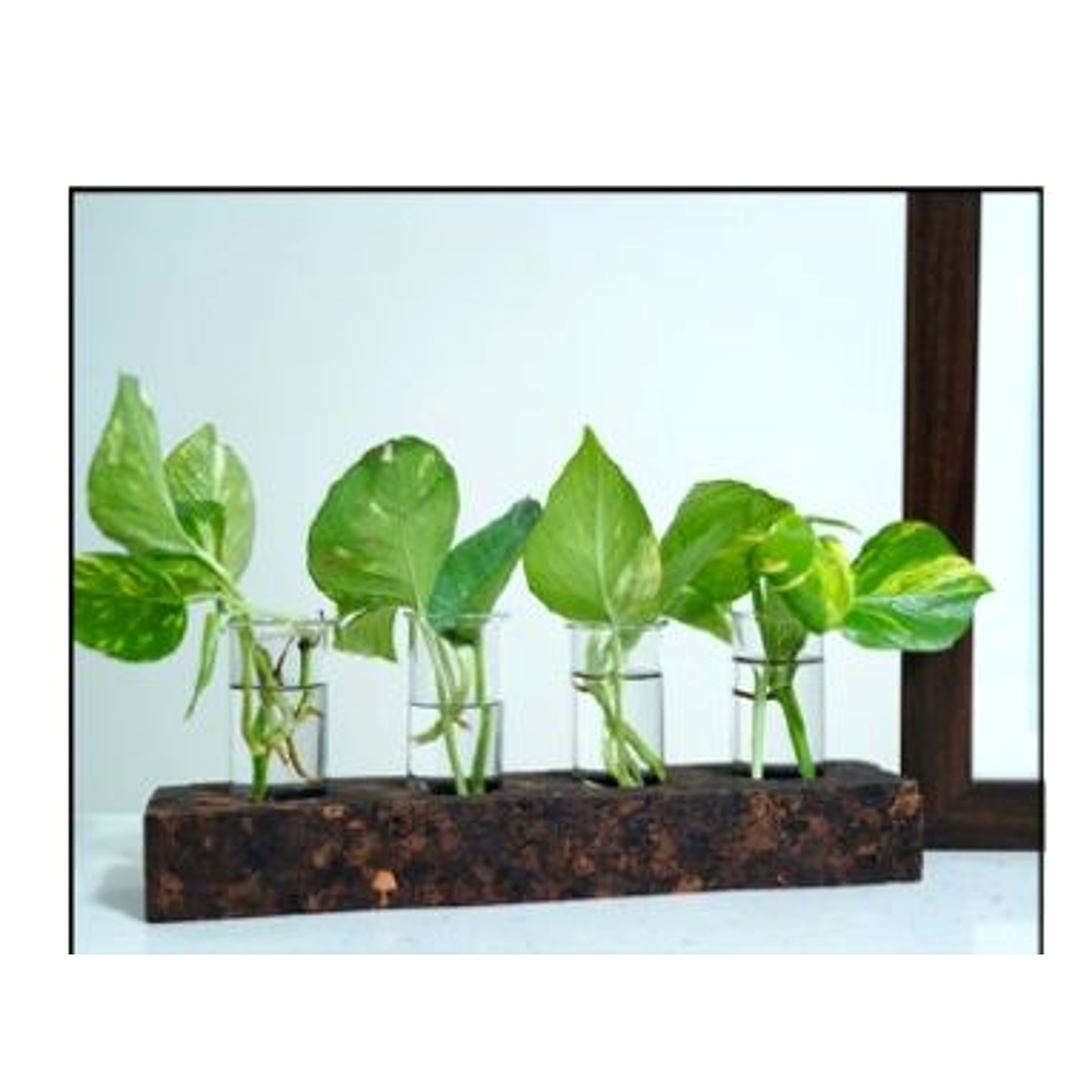 Four Bloom Planter