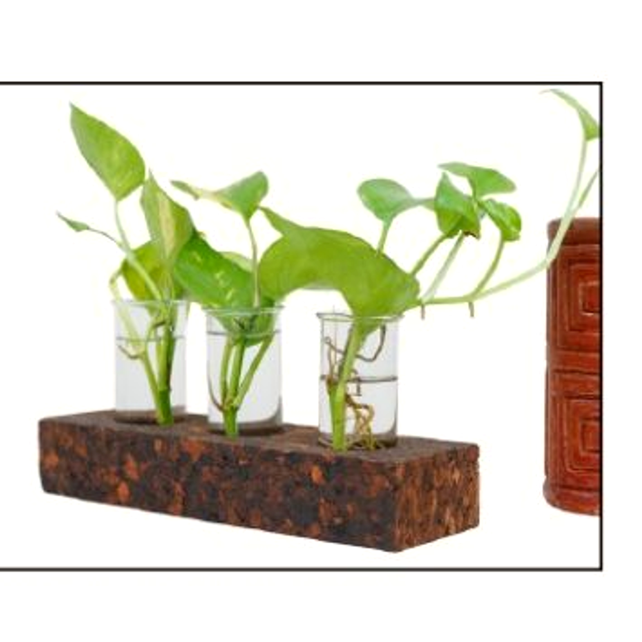 Three Bloom Planter