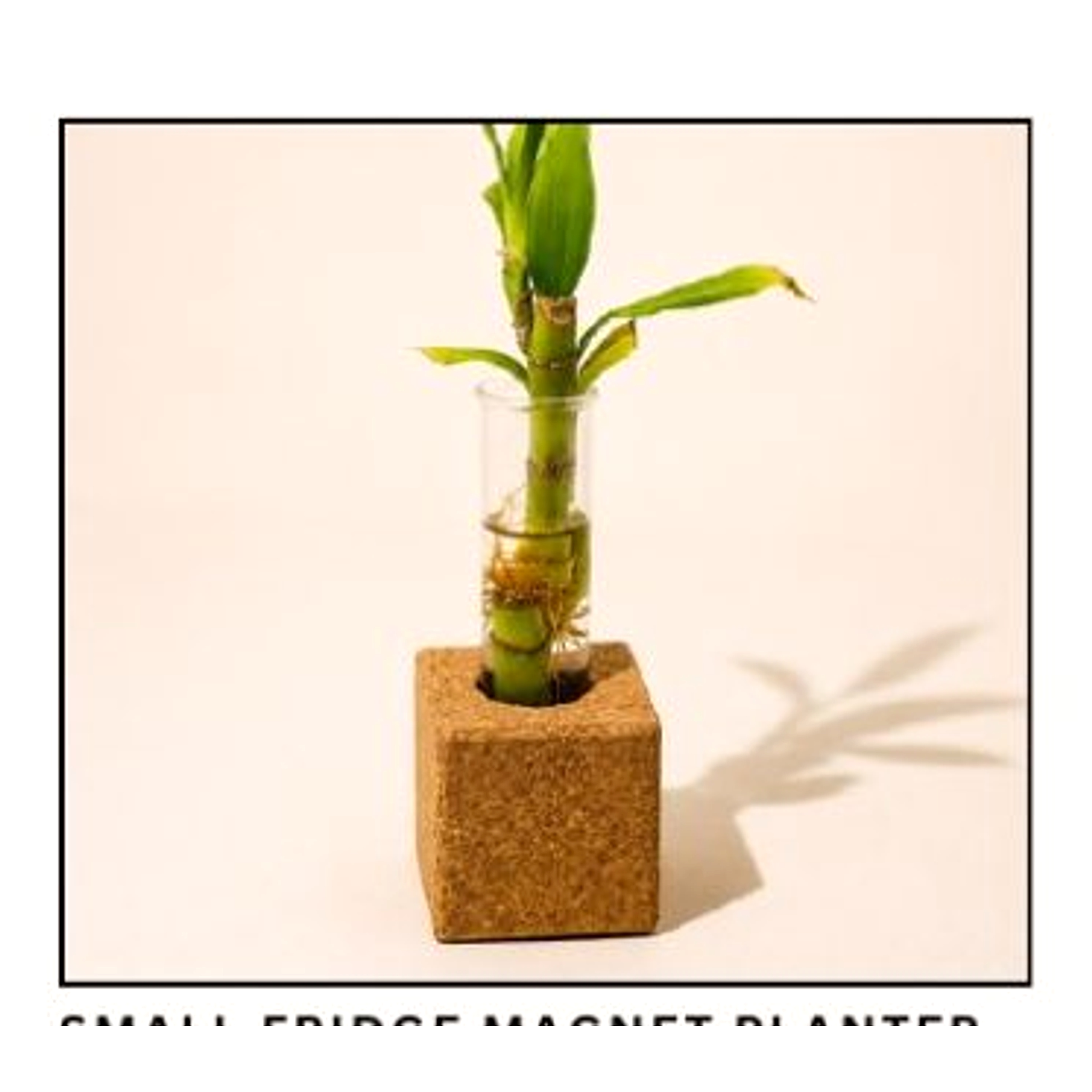 Small Fridge Magnet Planter