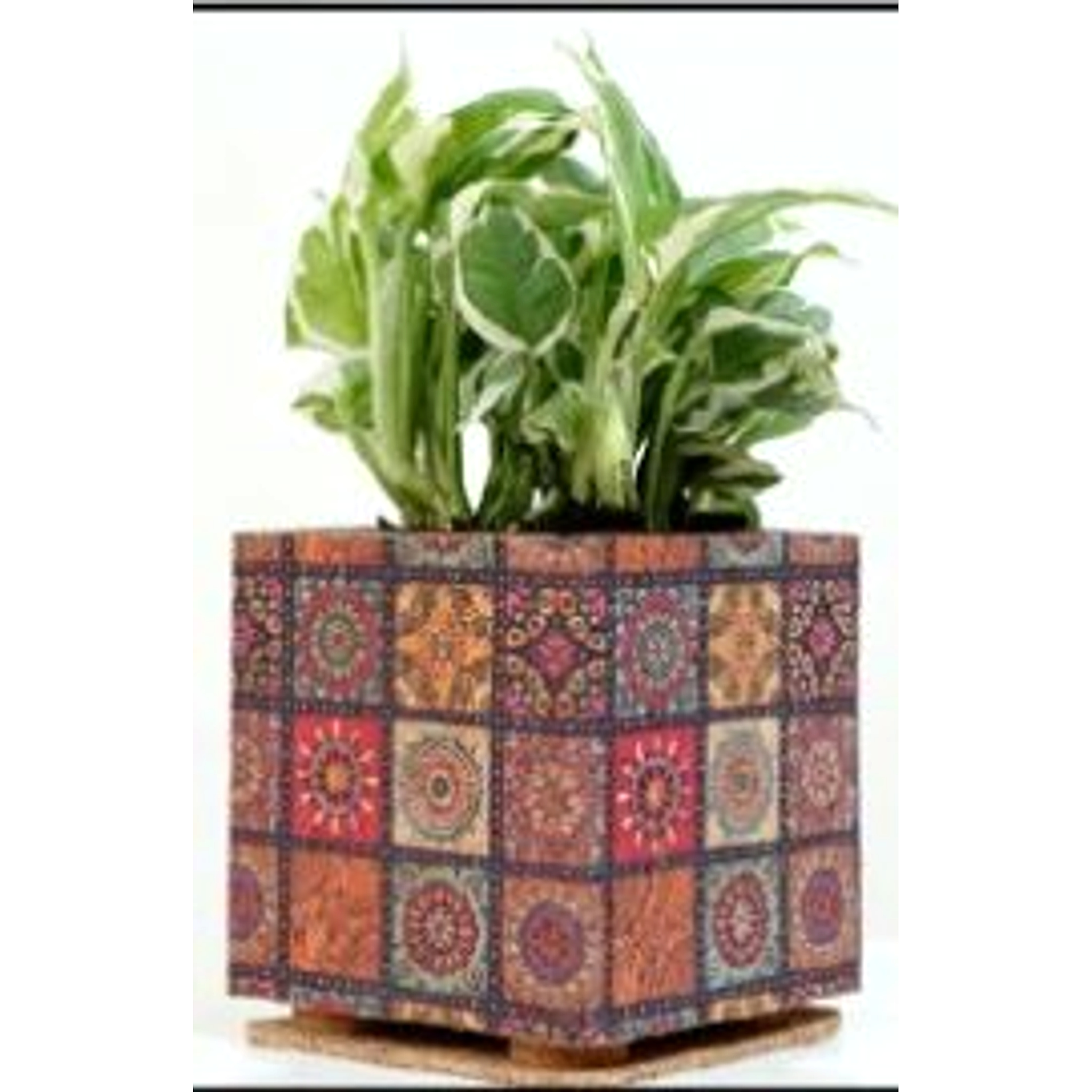 Box Print Planter
