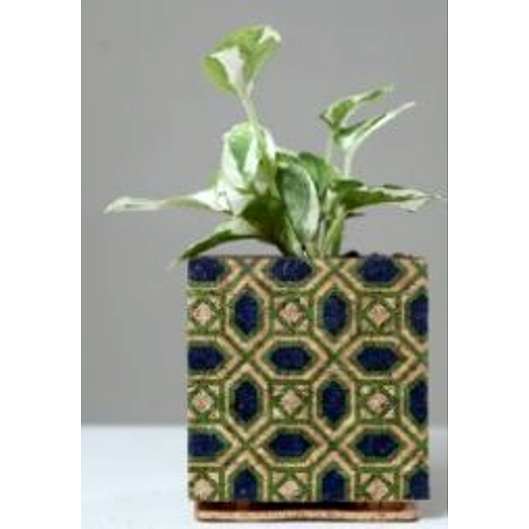 Bohemian Print Planter