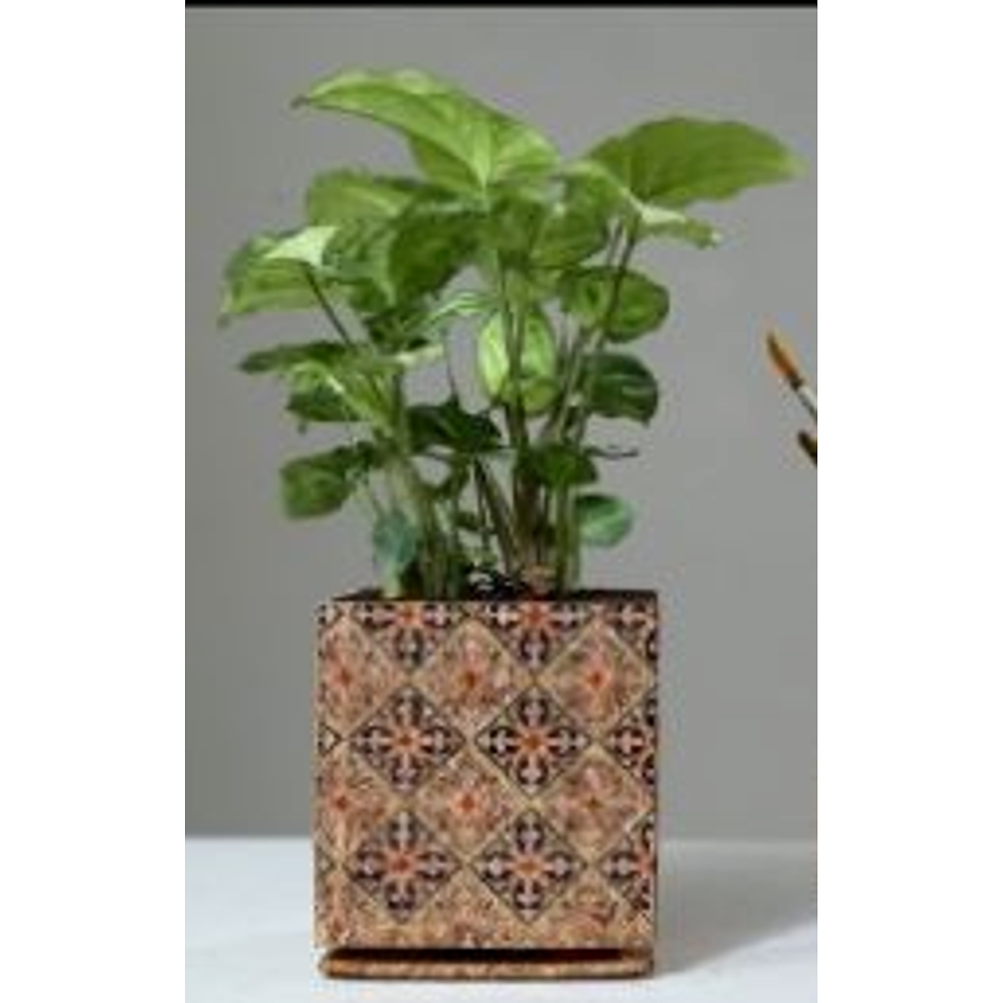 Diamond Planter
