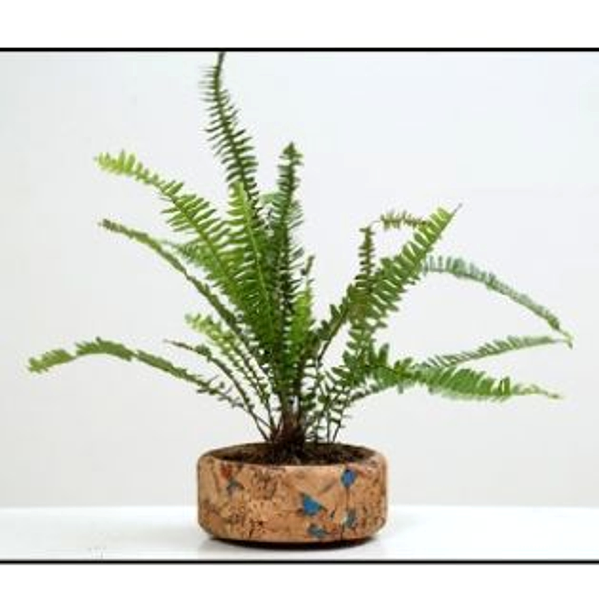 Flat Planter