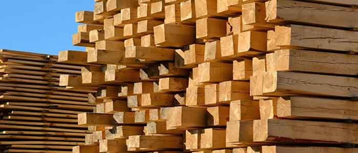 Illegal Logged Products | Due Diligence and Importer Responsibilities